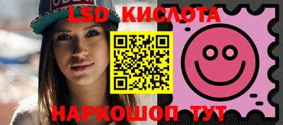 spice Новодвинск