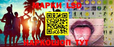 spice Новодвинск