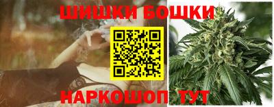 spice Новодвинск