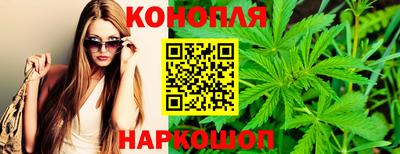 spice Новодвинск