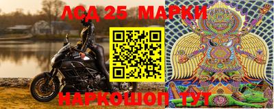 прущие крисы Новозыбков