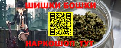 прущие крисы Новозыбков