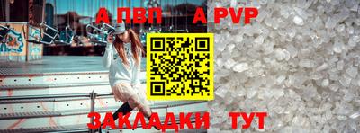 spice Новодвинск