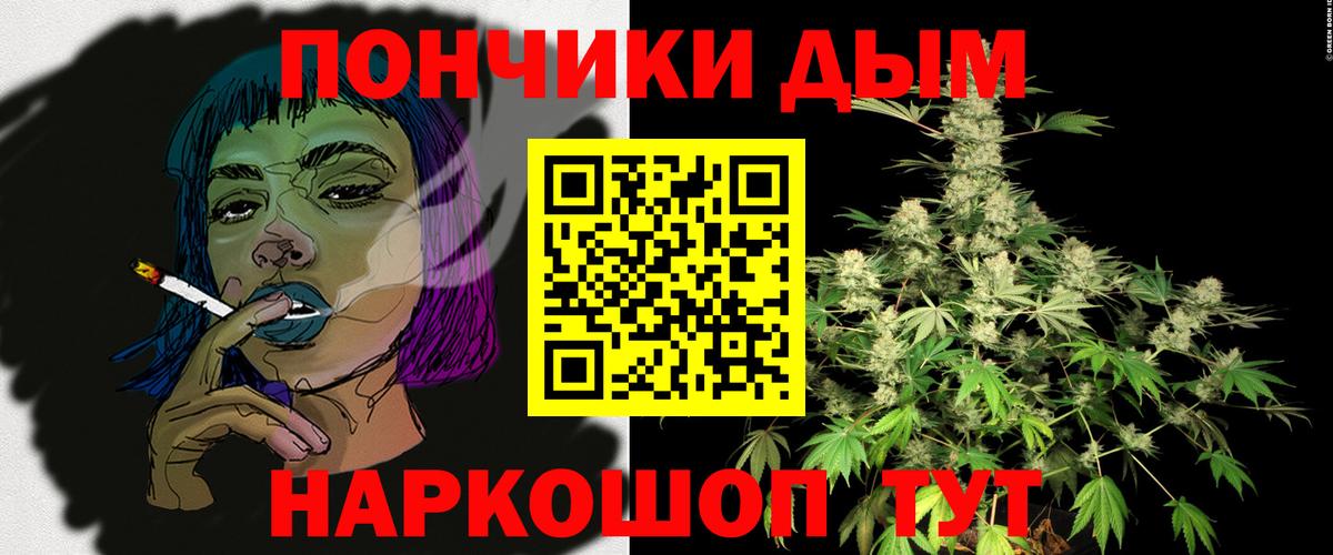 Конопля сатива Тавда